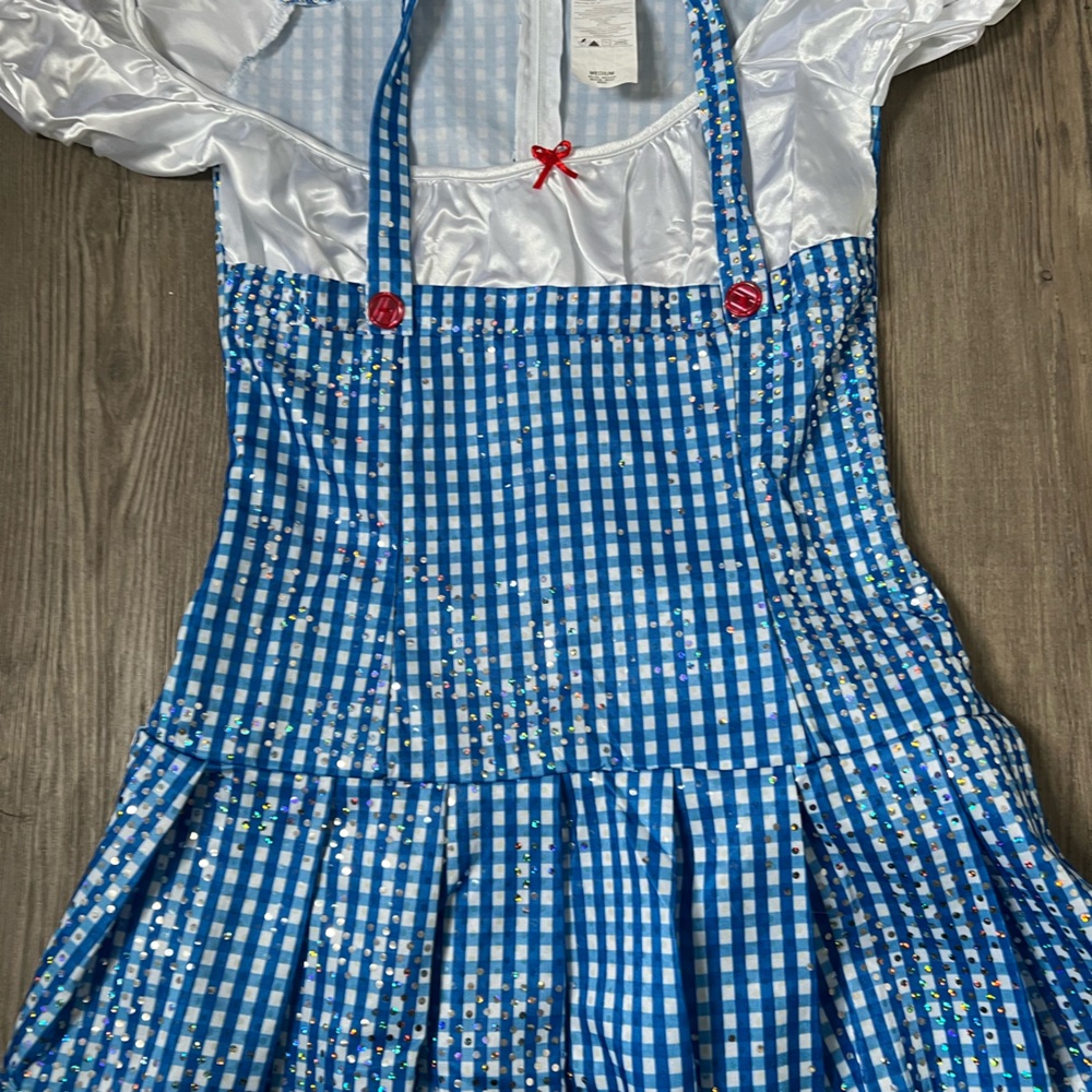 Halloween costume Dorthy Wizard of Oz dress only size Med womens/ Jrs  sparkle